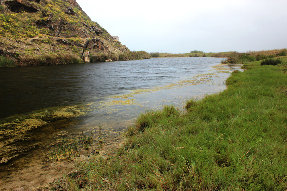 صورة لمعرض الصور