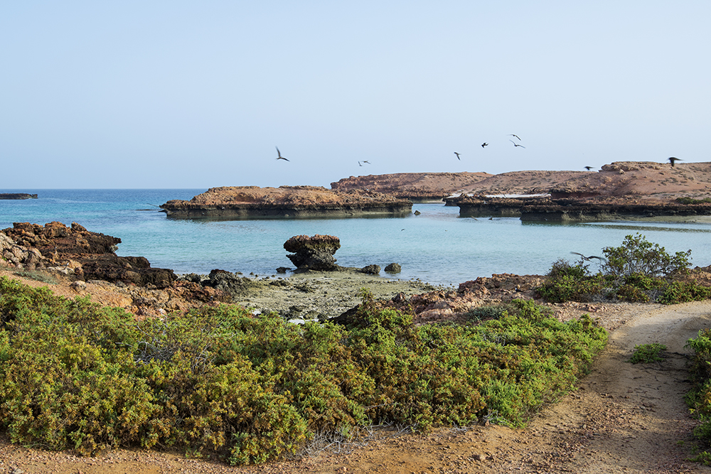 صورة لمعرض الصور
