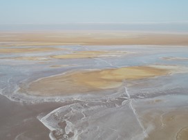 صورة خبر