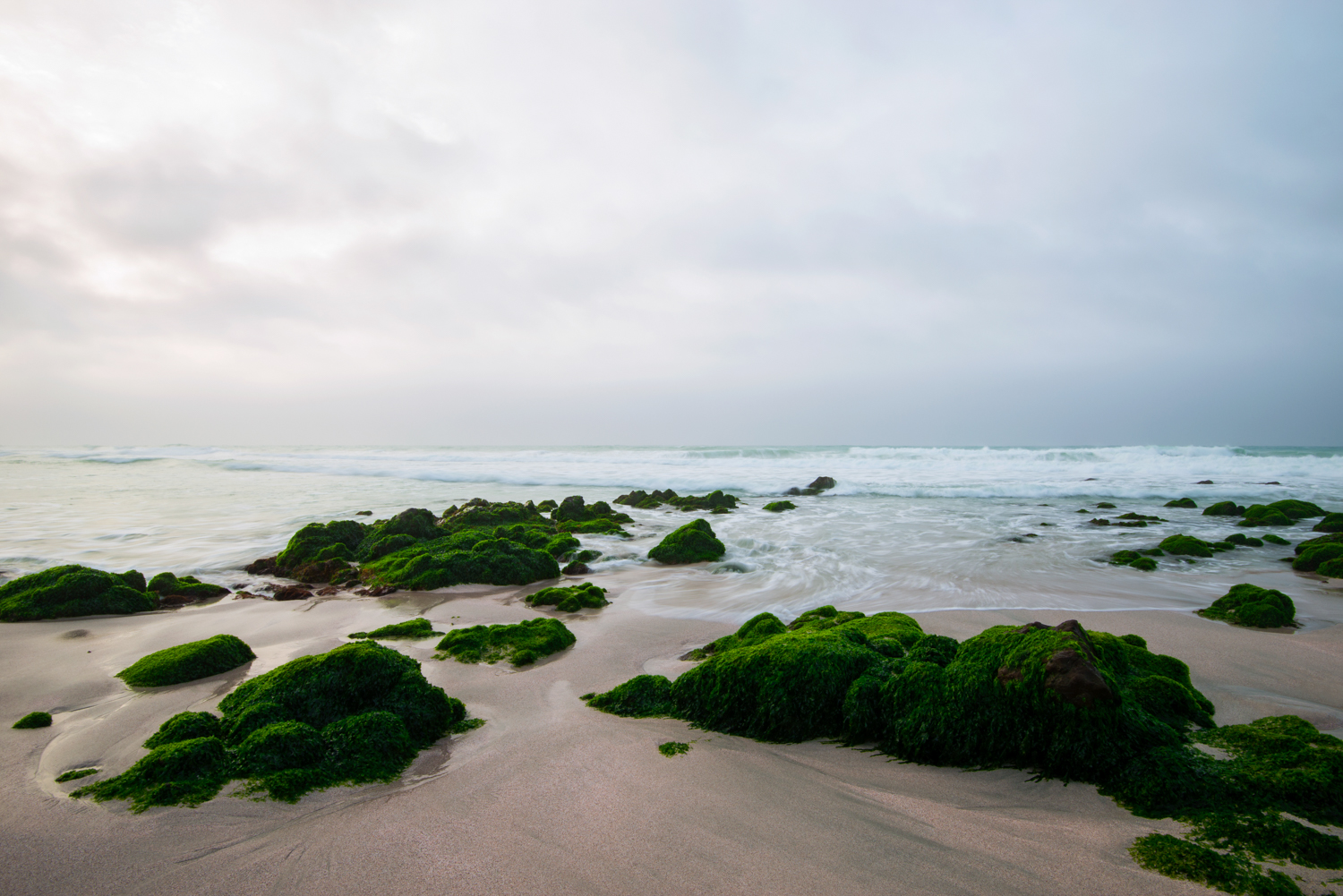 صورة لمعرض الصور