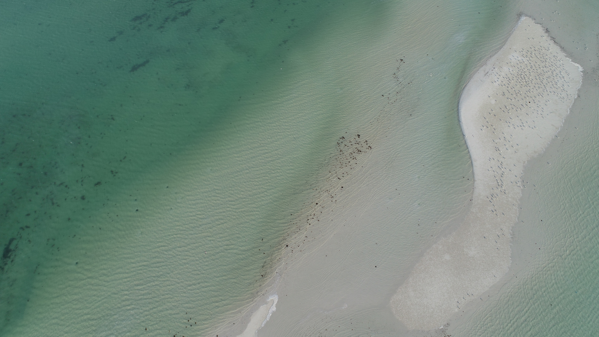 صورة لمعرض الصور