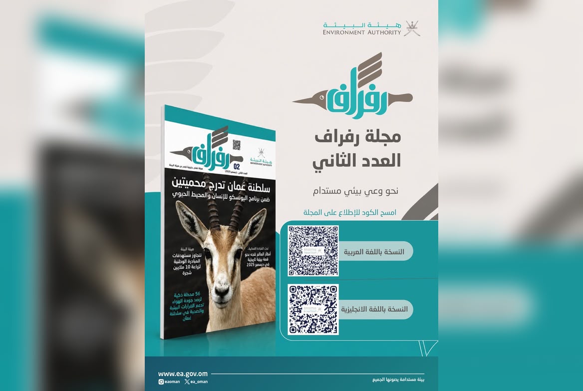 صورة خبر