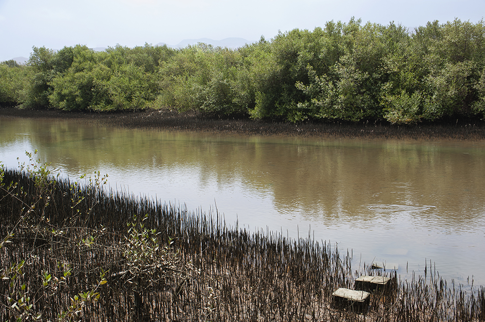 صورة لمعرض الصور