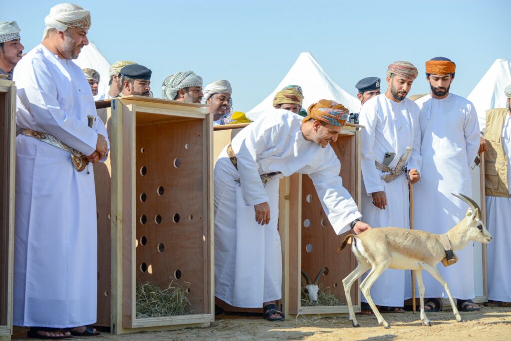 صورة لمقالة