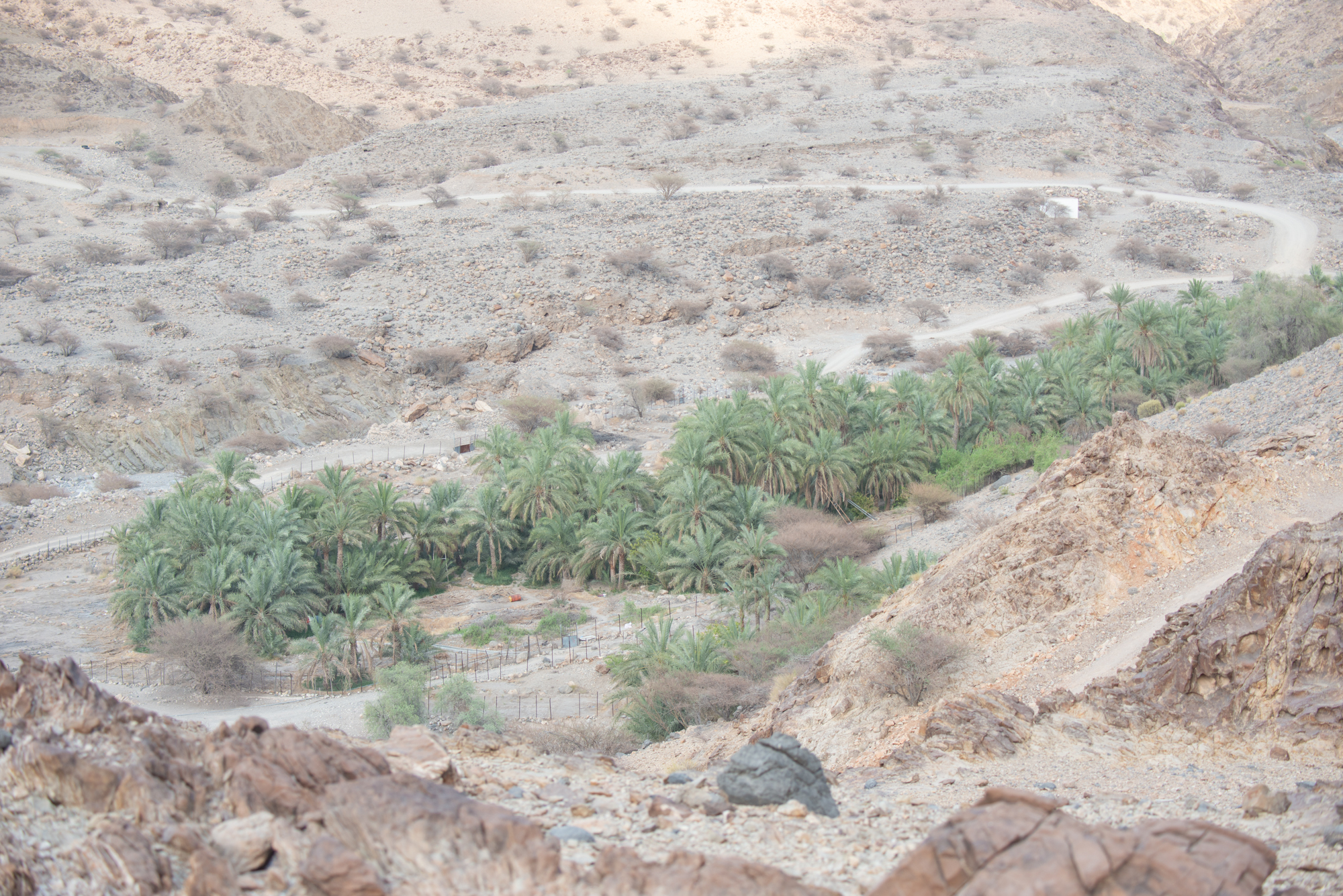 صورة لمعرض الصور