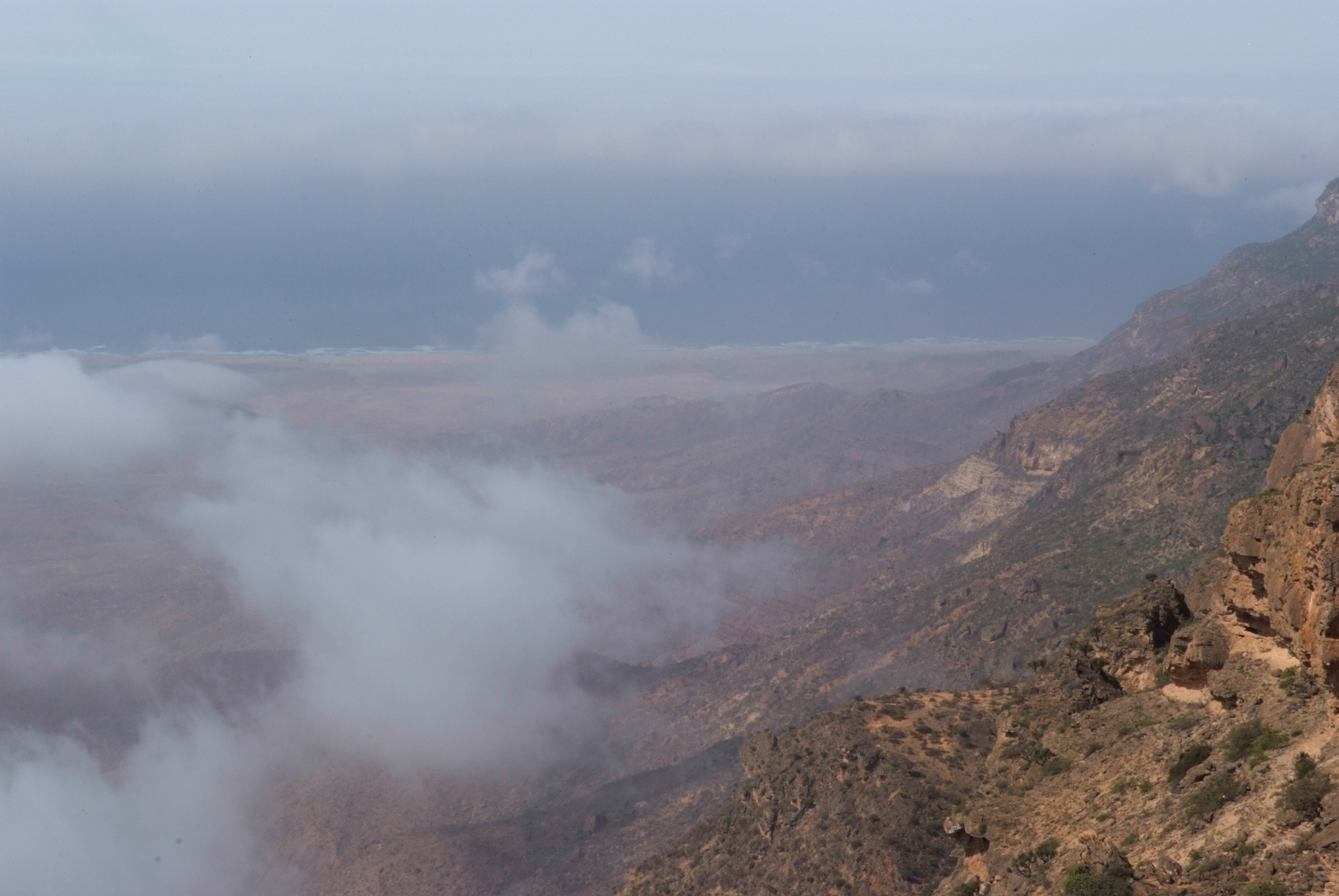 صورة لمعرض الصور